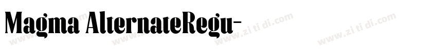 Magma AlternateRegu字体转换
